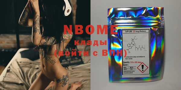 хмурый Няндома