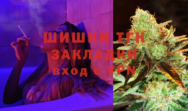 хмурый Няндома