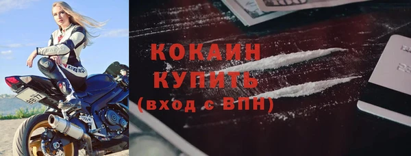 хмурый Няндома