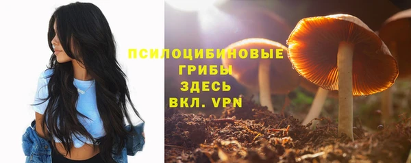 a pvp Нязепетровск