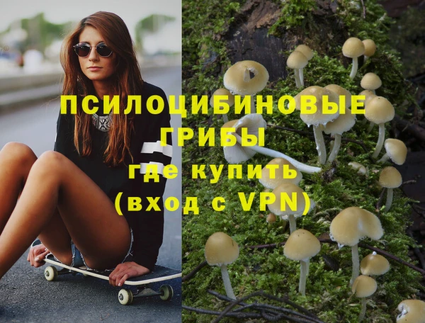 гидра Бердск