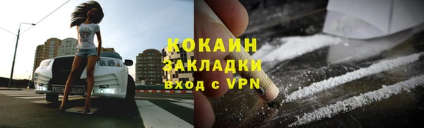 хмурый Няндома