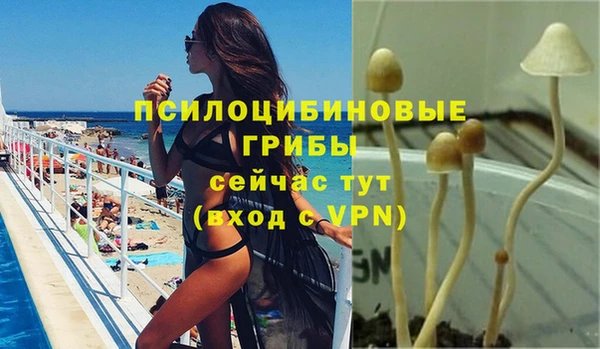 хмурый Няндома