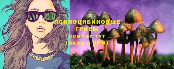 хмурый Няндома