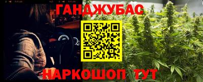 тгк Гай