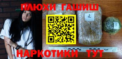гашик Гатчина
