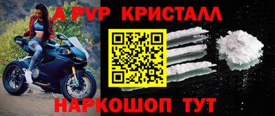тгк Гай