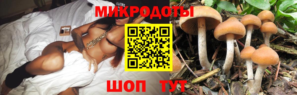 Галлюциногенные грибы ЛСД  Алейск  Псилоцибиновые грибы Psilocybe 